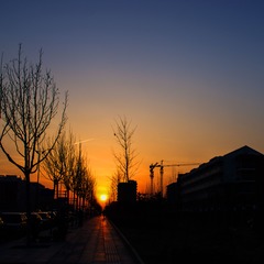 IMGP6137.jpg