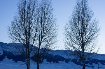 IMGP5679.jpg