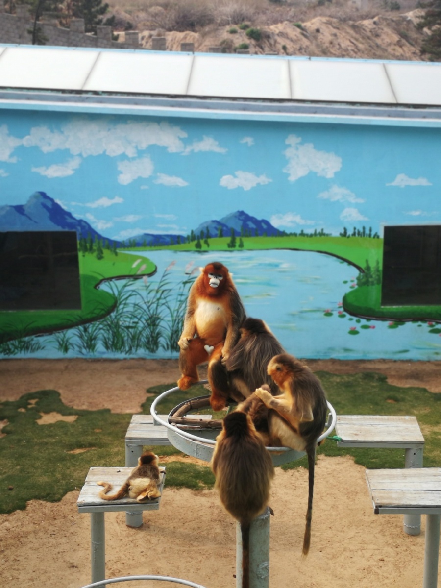 手机随拍威海西霞口动物园