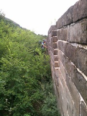 IMG_20120811_124554.jpg