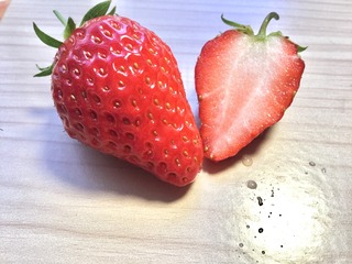 7D0E9FB7-D833-423F-B915-94E74CCEC720/L0/001