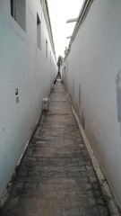 5229822