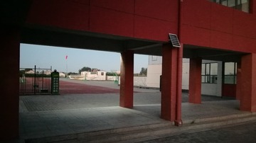 5229833