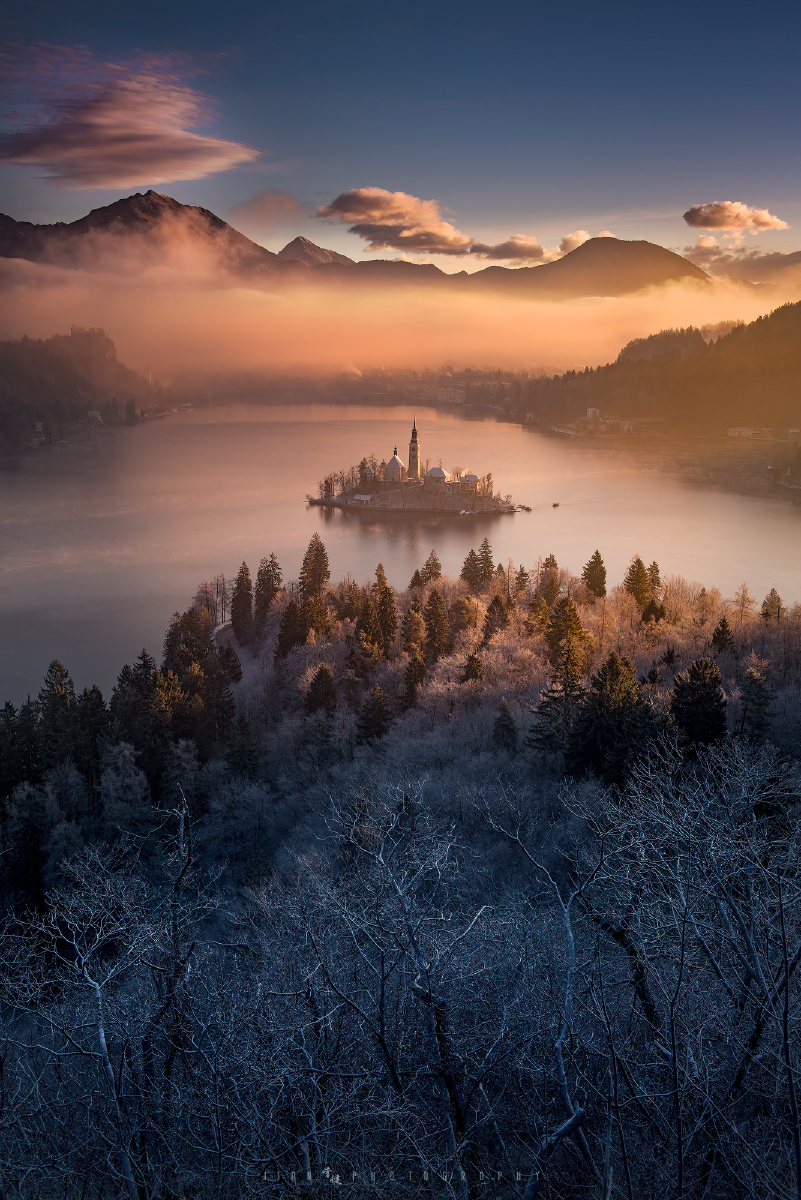 【布莱德湖冬之晨】一个冬日清晨,气温够低,树枝上披上了一层白霜