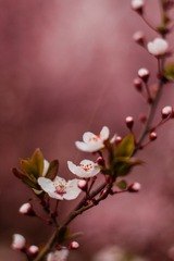 DSCF0152.jpg