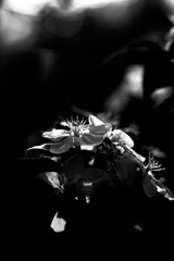 DSCF0619.jpg