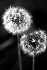 DSCF0616.jpg