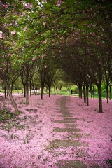 DSCF0740-2.jpg