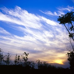 Scan-130604-0010.jpg