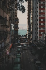 1000020230