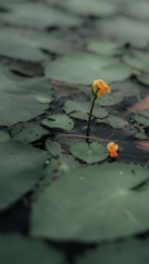 1305188