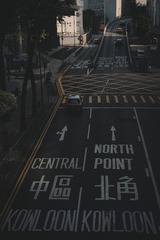1000020219