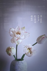 576BE33B-B6BE-4ADD-AF81-48E12314CC2F/L0/001