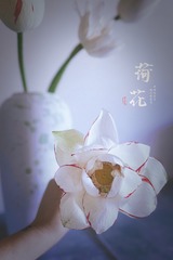 567B528A-6E49-4635-8A3D-EB8A5EDFC93D/L0/001
