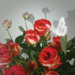 7805BDE9-BD75-4D9E-8179-4AD1C7E1ADE5/L0/001