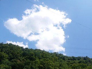 439786