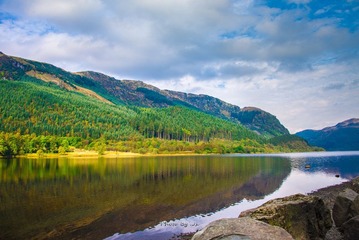 DSC_0219-2.jpg