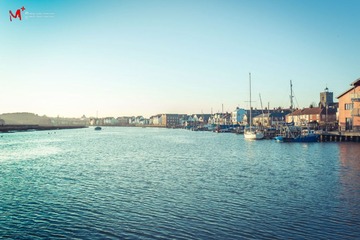 _DSC5198
