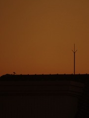 E7BCBFA4-F826-434A-9B11-B4BD56755AAE/L0/001