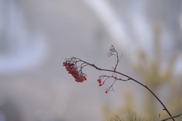 _DSC8047