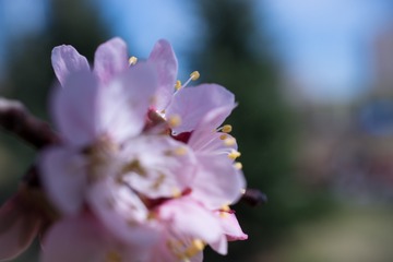 _DSC5025