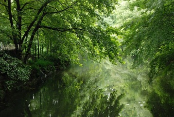 DSC_1583.jpg