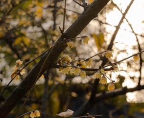 DSC00143