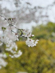 020F9285-ADF3-4C4C-96DD-F646CEF61248/L0/001