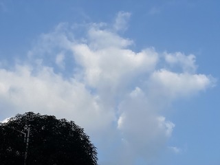 69D558E9-683B-4EDA-8A30-12E37082042A/L0/001