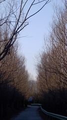 8EEEF263-1025-4DE6-9E35-685D1F7F9CC8/L0/001