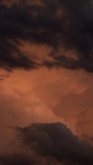 05A0AD8C-EE4F-4C0C-9310-CEC746AEC6E9/L0/001