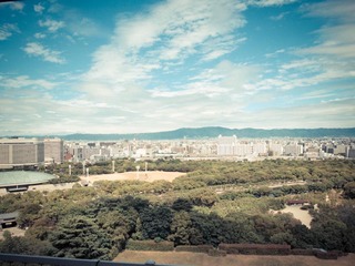 P6112542.jpg