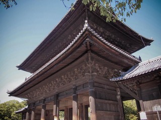 P6132730.jpg