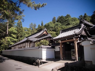 P6132733.jpg