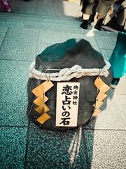 P6142830