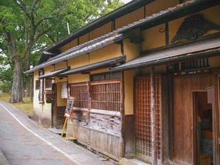 P6152914