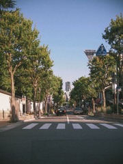 P6163038