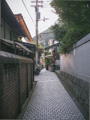 P6163046