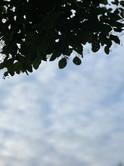 F6382F26-F159-46C6-A836-0C34096F540C/L0/001