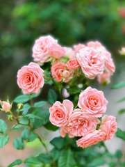 4FCACE1E-E737-4D74-AA76-95C74E39533B/L0/001