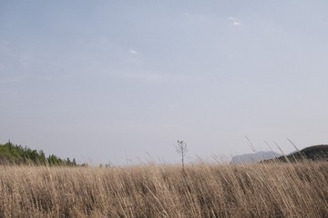 DSCF1217