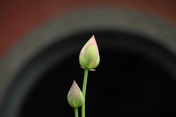 1115092