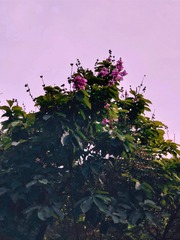 1000810578