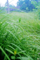 9885AE2B-B5FD-4977-91AF-FA37B26B4CC7/L0/001