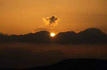 19466F65-BB7F-4C61-8EA8-3991259C2222/L0/001