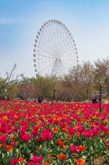 A85810DB-6DAE-4ED0-AE6A-238947F8DE92/L0/001