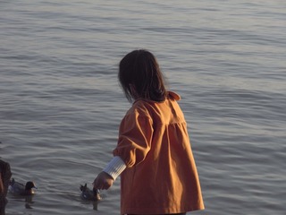 36D02161-C8DC-4A59-8AB9-06A78F81F149/L0/001