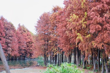 9D82CF67-5E66-464A-8E34-50EDA6867AB2/L0/001