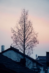 44D8615D-6B82-43F9-A363-6CC49FAC9DBA/L0/001