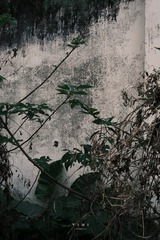 5831E4EC-F653-4190-9C37-6DF5E990D7EE/L0/001